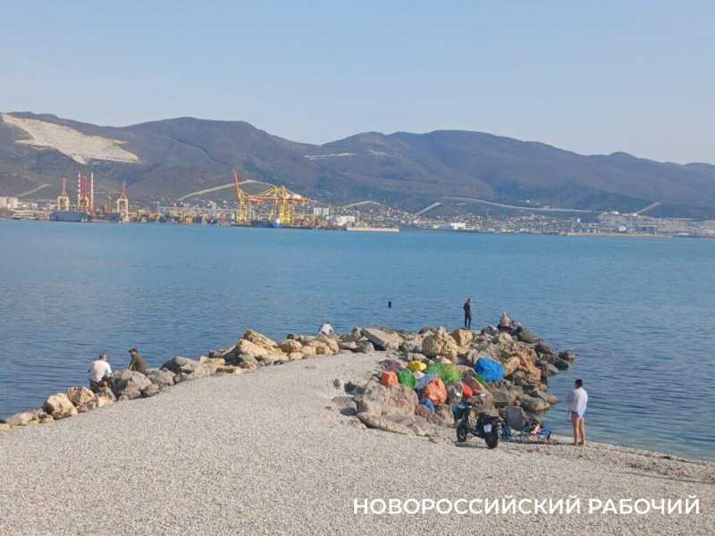 На пляжах Новороссийска в ноябрьские выходные загорали и купались