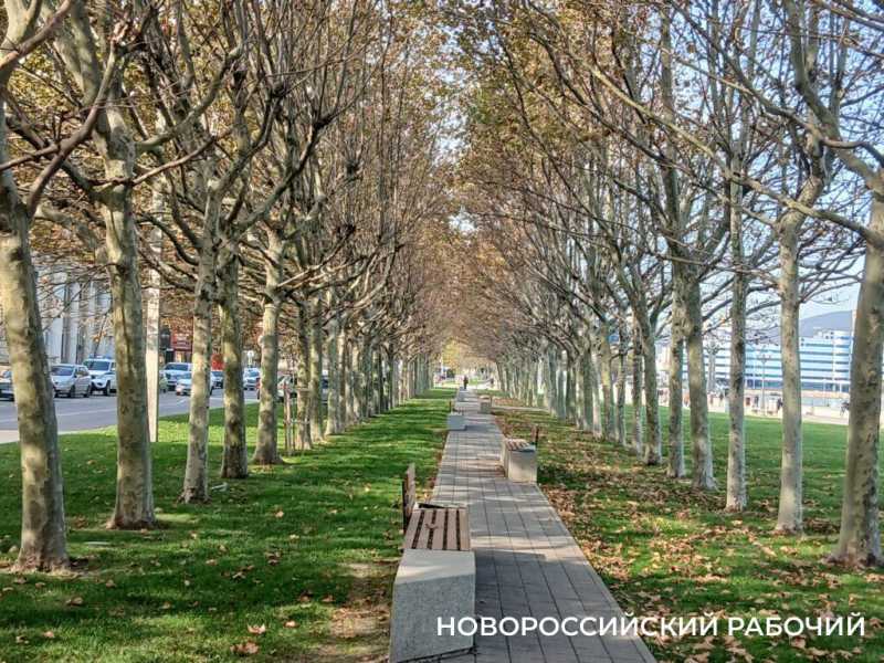 На пляжах Новороссийска в ноябрьские выходные загорали и купались