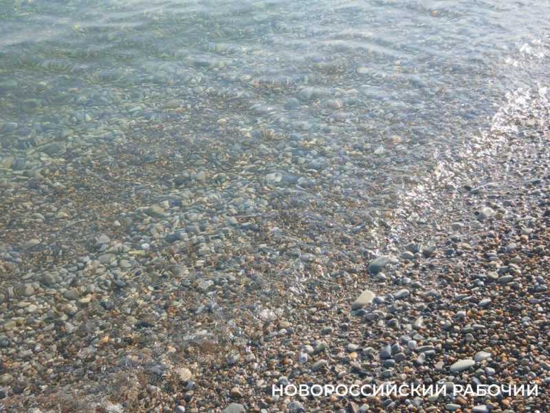 На пляжах Новороссийска в ноябрьские выходные загорали и купались