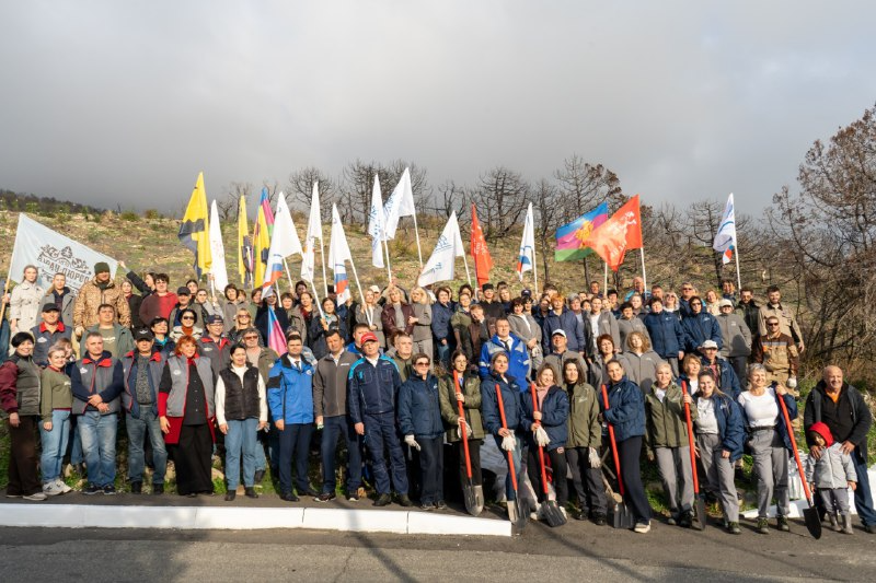 На склонах природного заказника &laquo;Абраусский&raquo; восстанавливают реликтовый лес