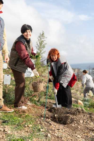 На склонах природного заказника &laquo;Абраусский&raquo; восстанавливают реликтовый лес