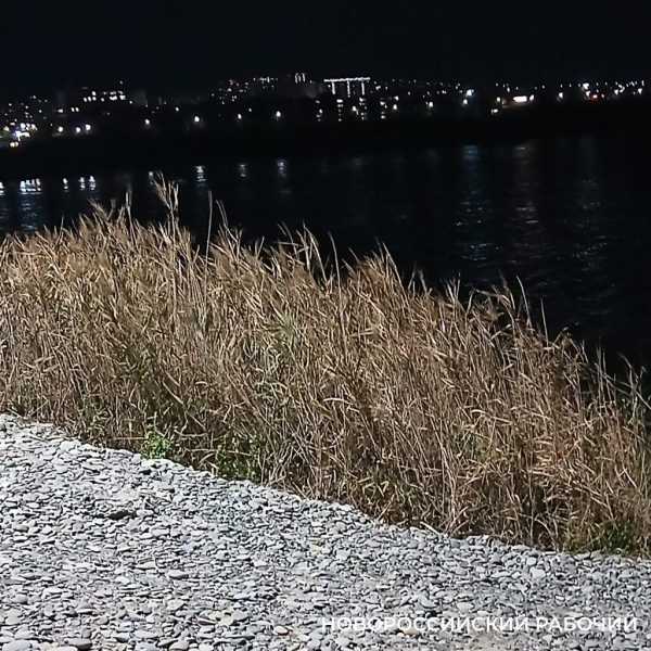 На вечерний пляж Новороссийска приходят любоваться лунной дорожкой