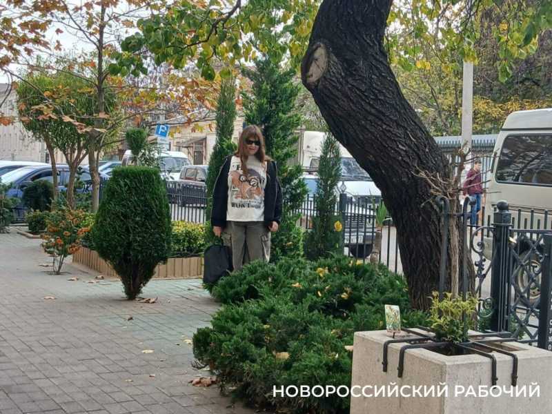 Осенний палисадник в центре Новороссийска стал фотозоной