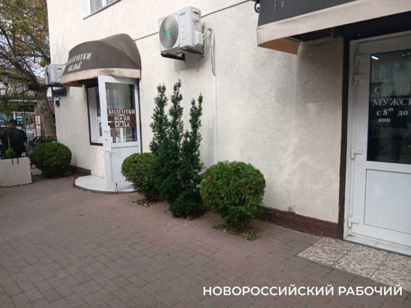 Осенний палисадник в центре Новороссийска стал фотозоной