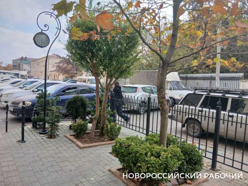 Осенний палисадник в центре Новороссийска стал фотозоной