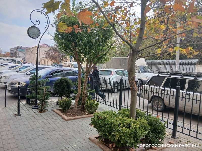 Осенний палисадник в центре Новороссийска стал фотозоной