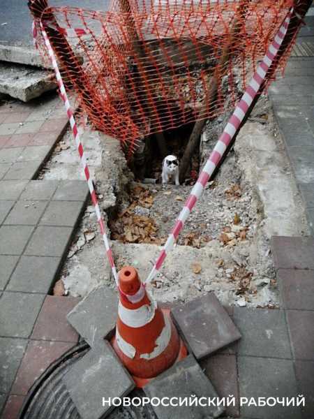 Отделалась синяками. В Новороссийске женщина упала в траншею, разрытую &laquo;АТЭК&raquo;