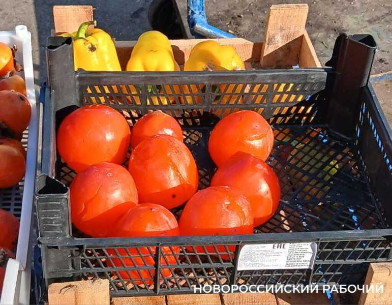 Почти даром! В Новороссийске на рынках завалы испорченной хурмы