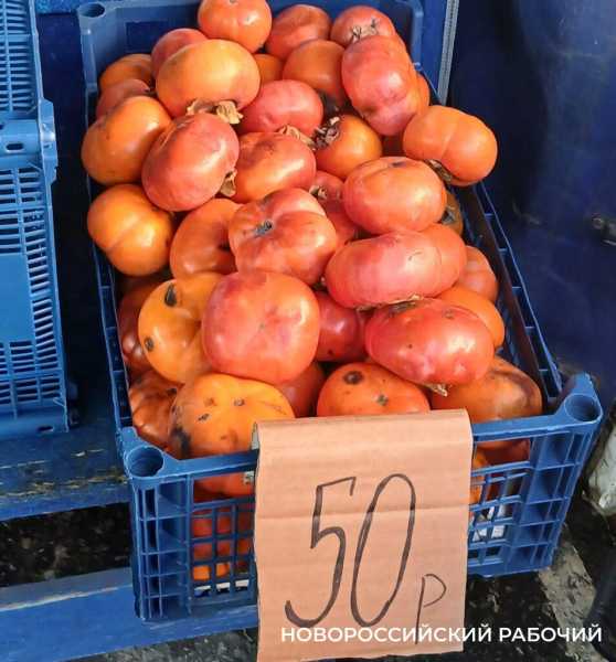 Почти даром! В Новороссийске на рынках завалы испорченной хурмы