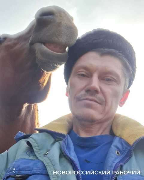 Под Новороссийском родился редкий жеребенок исчезающей донской породы