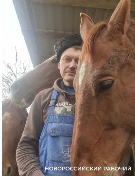 Под Новороссийском родился редкий жеребенок исчезающей донской породы