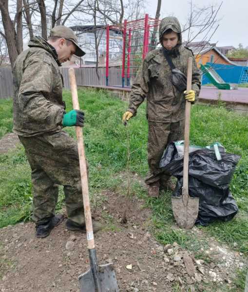 Предприниматель из Новороссийска подарил городу больше 150 чудо-деревьев гинкго билоба
