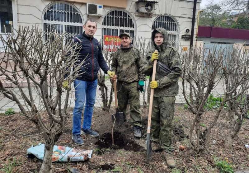 Предприниматель из Новороссийска подарил городу больше 150 чудо-деревьев гинкго билоба