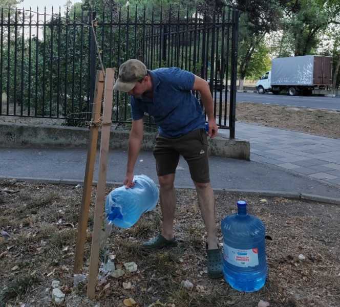 Предприниматель из Новороссийска подарил городу больше 150 чудо-деревьев гинкго билоба