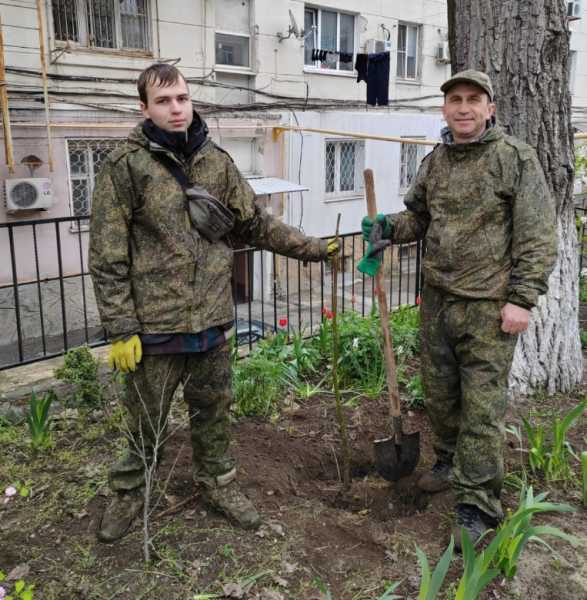 Предприниматель из Новороссийска подарил городу больше 150 чудо-деревьев гинкго билоба