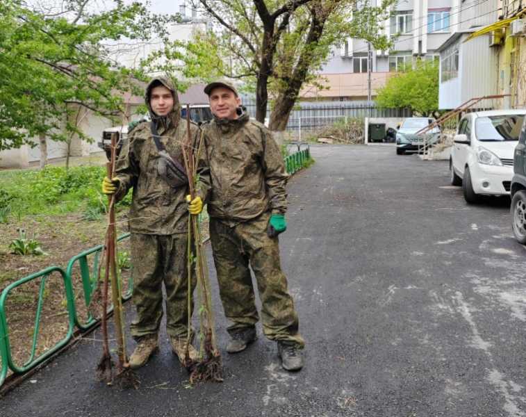 Предприниматель из Новороссийска подарил городу больше 150 чудо-деревьев гинкго билоба