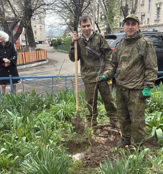 Предприниматель из Новороссийска подарил городу больше 150 чудо-деревьев гинкго билоба