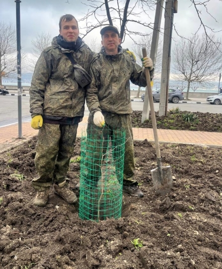 Предприниматель из Новороссийска подарил городу больше 150 чудо-деревьев гинкго билоба