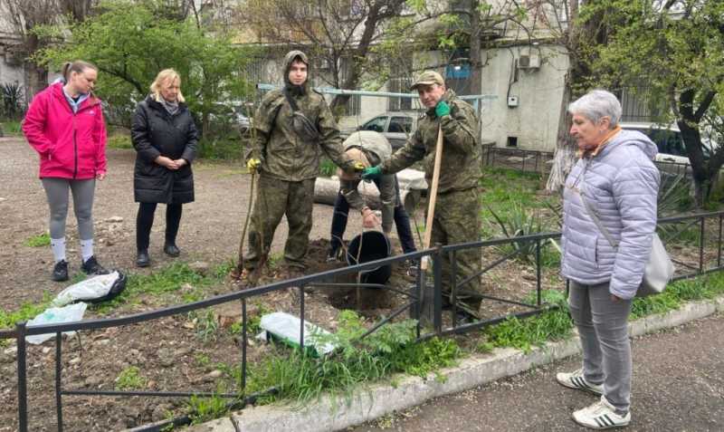 Предприниматель из Новороссийска подарил городу больше 150 чудо-деревьев гинкго билоба