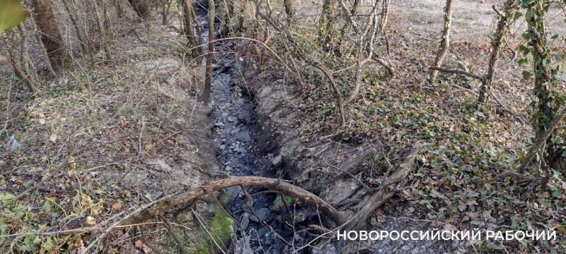 Прокуратура подала в суд на &laquo;Водоканал&raquo; за сброс нечистот в реку Новороссийска