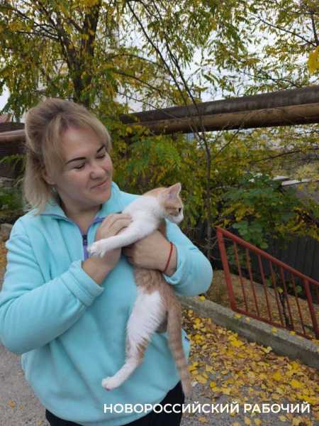 Сбежал из дома и впал в ступор. В Новороссийске спасли бело-рыжего котенка
