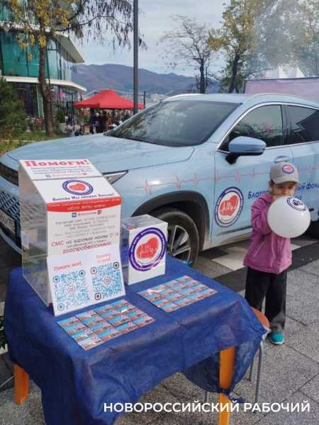 Сегодня &laquo;Добрый Новороссийск&raquo; собирает друзей и дарит праздник. Фоторепортаж &laquo;НР&raquo;