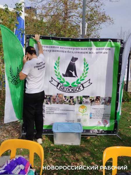 Сегодня &laquo;Добрый Новороссийск&raquo; собирает друзей и дарит праздник. Фоторепортаж &laquo;НР&raquo;