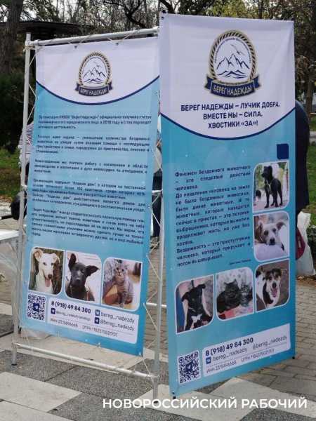 Сегодня &laquo;Добрый Новороссийск&raquo; собирает друзей и дарит праздник. Фоторепортаж &laquo;НР&raquo;