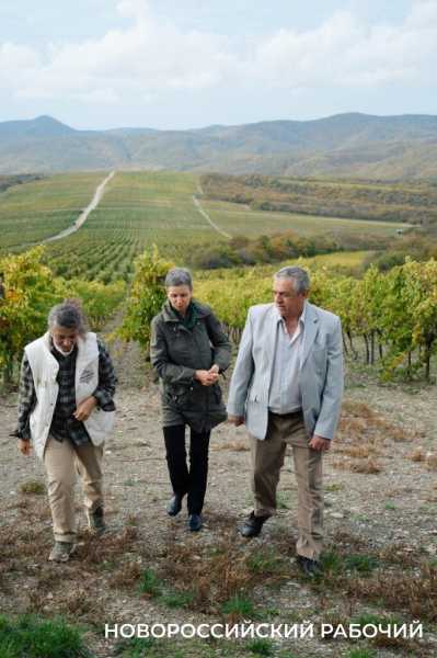 Сегодня &mdash; юбилей создателя &laquo;золотого стандарта&raquo; Абрау-Дюрсо Эдуарда Веделя