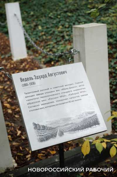 Сегодня &mdash; юбилей создателя &laquo;золотого стандарта&raquo; Абрау-Дюрсо Эдуарда Веделя