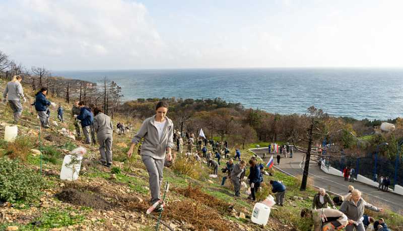 Сохраняя природу для потомков: в Абрау-Дюрсо восстанавливают реликтовый лес