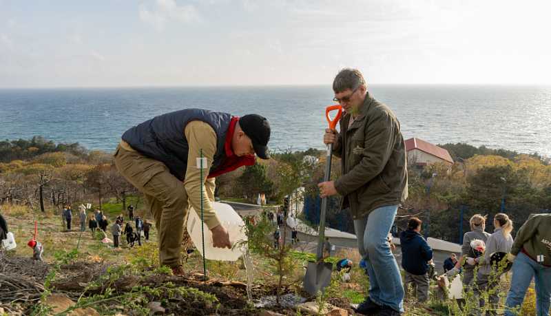 Сохраняя природу для потомков: в Абрау-Дюрсо восстанавливают реликтовый лес