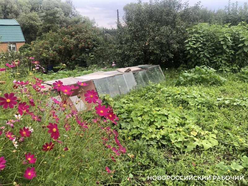 Советы дня на 11 ноября: о прогнозе погоды, военных пенсионерах и фитнесе