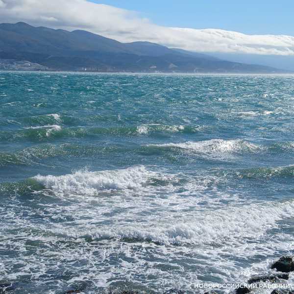 Советы дня на 12 ноября: о встрече правителей, сильнейшем ветре и творческом осуществлении