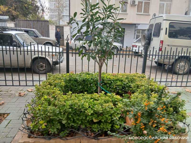 Советы дня на 16 ноября: о дипломатических отношениях, суточном застолье и рекордах Гиннесса