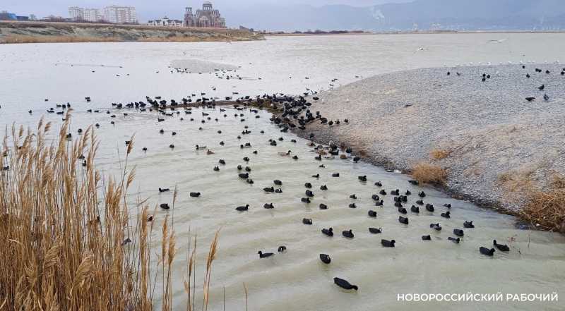 Советы дня на 18 ноября: о секретах, борьбе с издевательствами и Эрнесте Баллионе