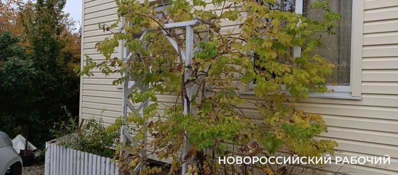 Советы дня на 19 ноября: об увековечивании памяти героев Великой Отечественной войны, павших в боях за город, запахе свежего хлеба и жертвах ДТП