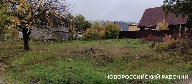 Советы дня на 20 ноября: о судебных уставах, переливании крови и перевоплощениях