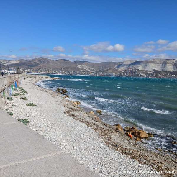 Советы дня на 22 ноября: об аграрной реформе, сыновьях и отставке премьер-министра