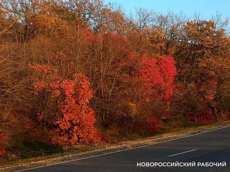 Советы дня на 24 ноября: о эволюции, угощении домовых молоком и колючей проволоке