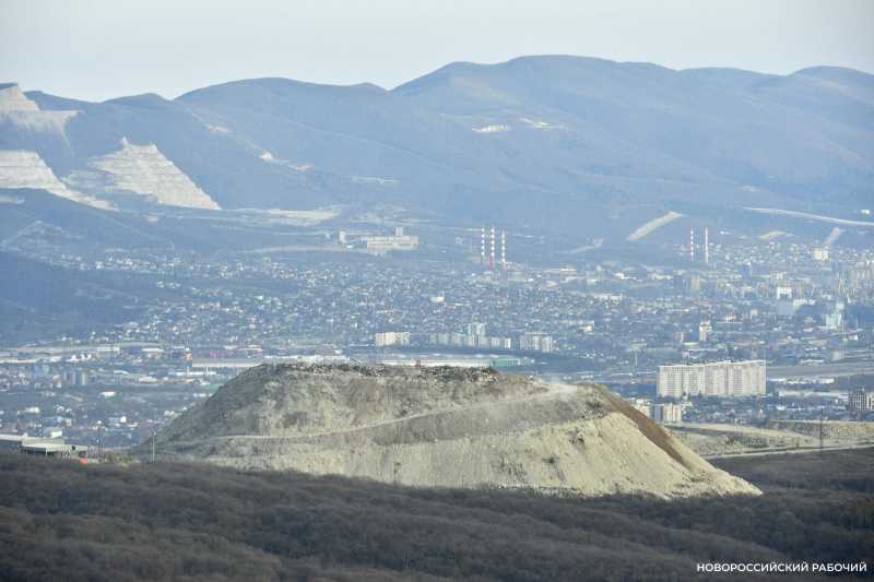 Советы дня на 28 ноября: о пьяном ёжике, рождественском посте и сострадании
