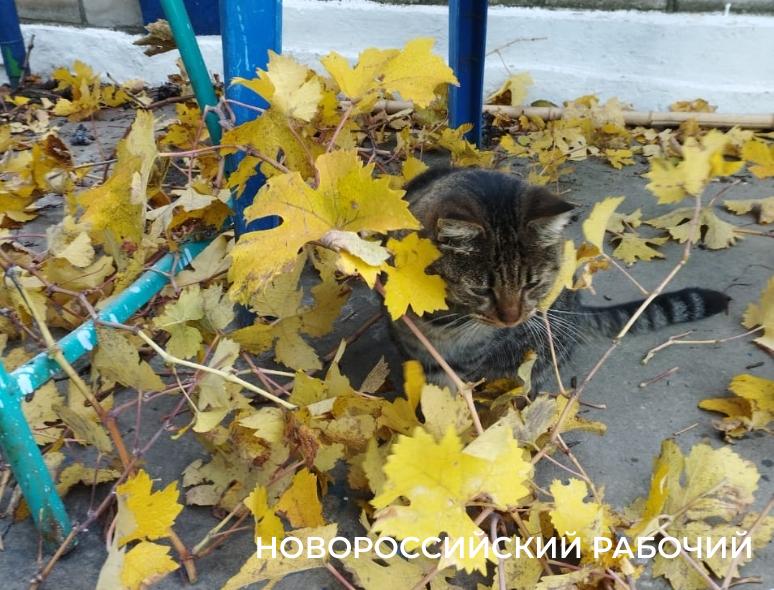 Советы дня на 4 ноября: о Гваделупе, гробнице фараона и заботе о себе