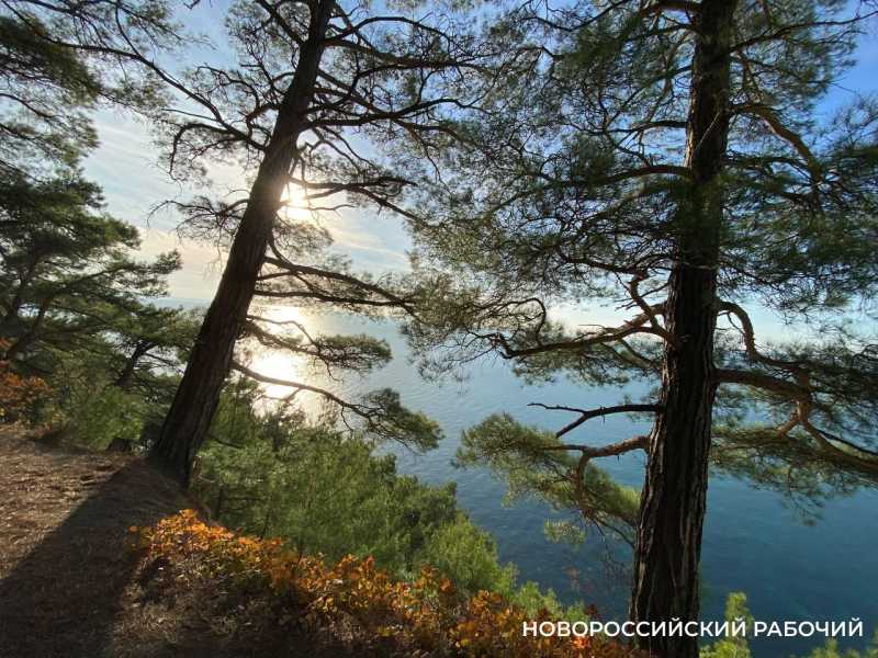 Советы дня на 5 ноября: о президентской гонке, &laquo;Шхуне ровесников&raquo; и рассматривании старых фотографий