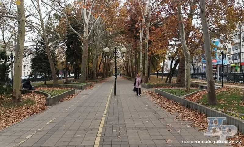 Советы дня на 6 ноября: о заходе иностранных судов в порт Новороссийска, ориентировании без компаса и уголовно-исполнительной системе РФ