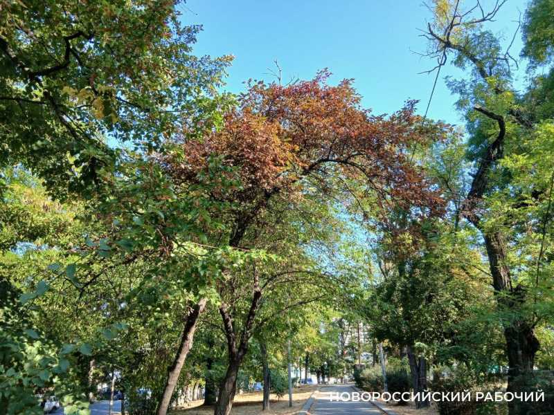 Советы дня на 7 ноября: о вытрезвителе, оранжевом цвете и Октябрьской революции