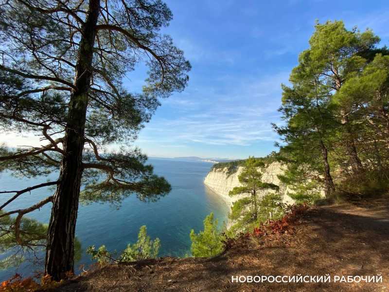 Советы дня на 8 ноября: об отказе от покупок, динамите и российских шампанских винах