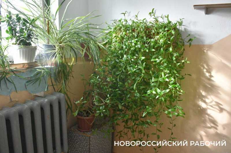 &laquo;Стоял на балконе и вижу &ndash; летит!&raquo; В Новороссийске обследуют пострадавшие от налета БПЛА квартиры