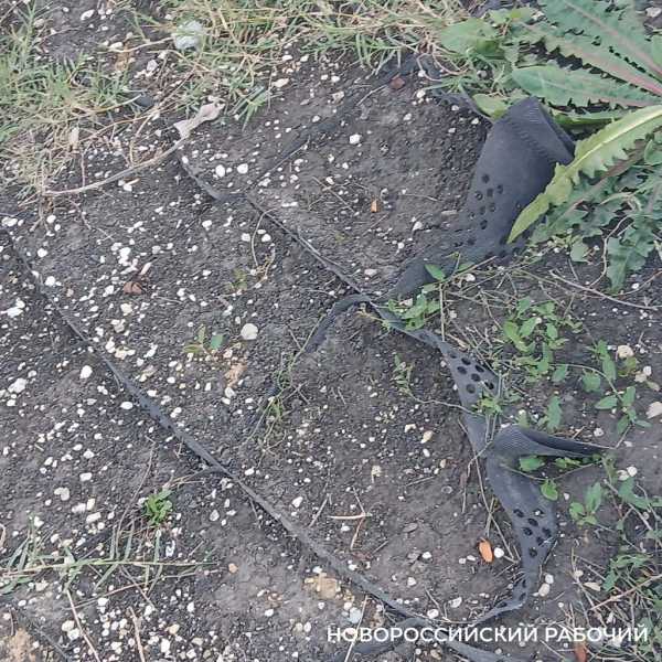 Трава вокруг стелы в Новороссийске будет долго прорастать после рулонного газона