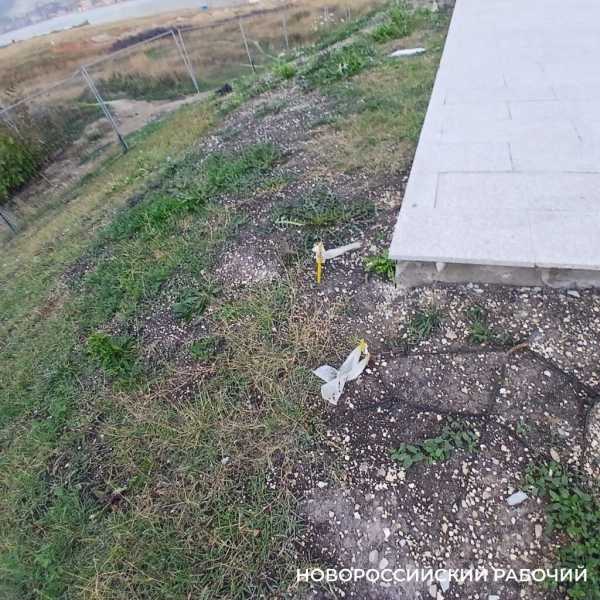 Трава вокруг стелы в Новороссийске будет долго прорастать после рулонного газона
