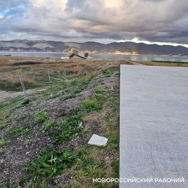 Трава вокруг стелы в Новороссийске будет долго прорастать после рулонного газона